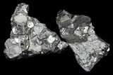 Shiny Galena Octahedral Crystals Wholesale Flat - Pieces #60028-1
